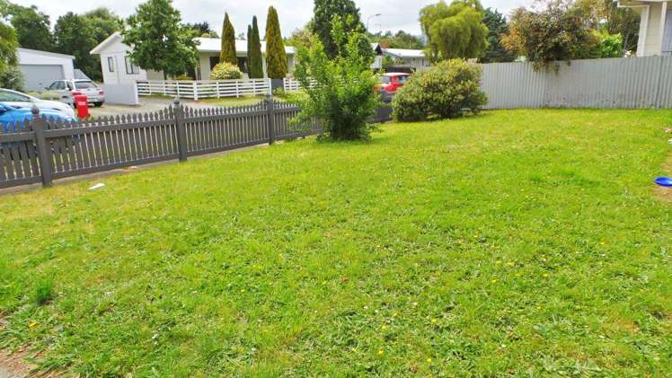 12 Guy Avenue Levin_4