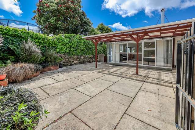 28 Hastings Street Wakari_1