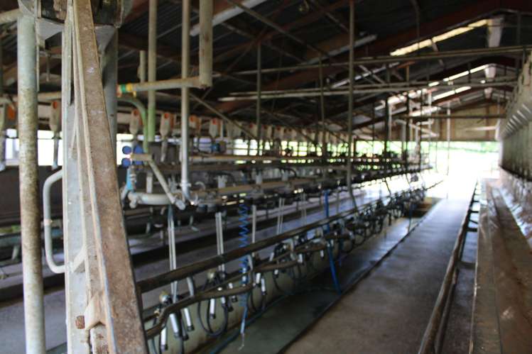 1250 Arapuni Road Parawera_9