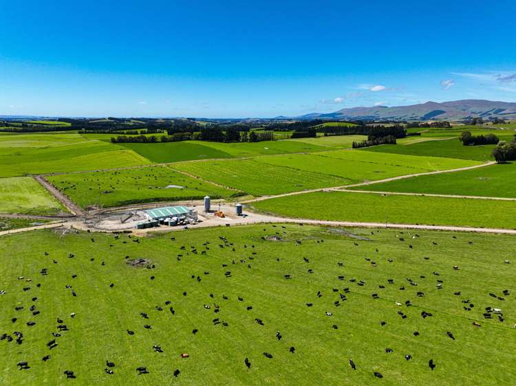 10 Roy Road Clutha_12