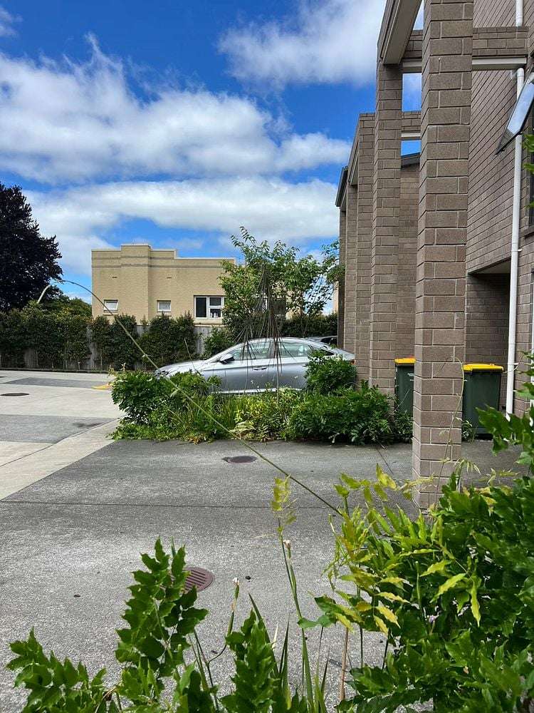 Address withheld Mount Albert_17