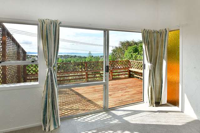 22 Scott Road Stanmore Bay_2