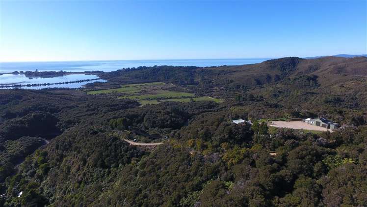 175 Parapara Valley Road Parapara_21