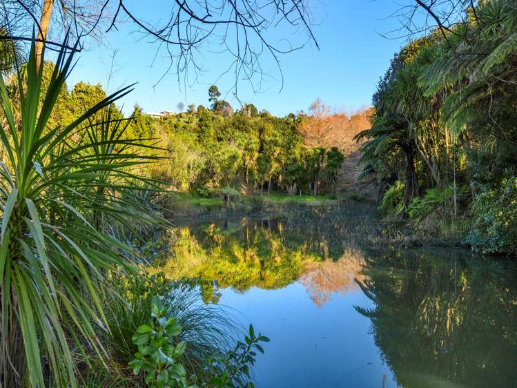 15 Avon Rise Welcome Bay_18