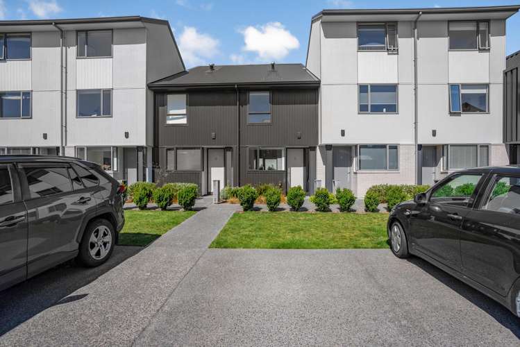 8 Te Ara O Te Amo Hohipene Petone_18