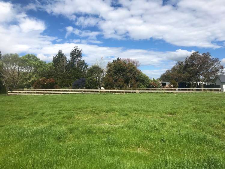 17 Madison Street Cambridge_7