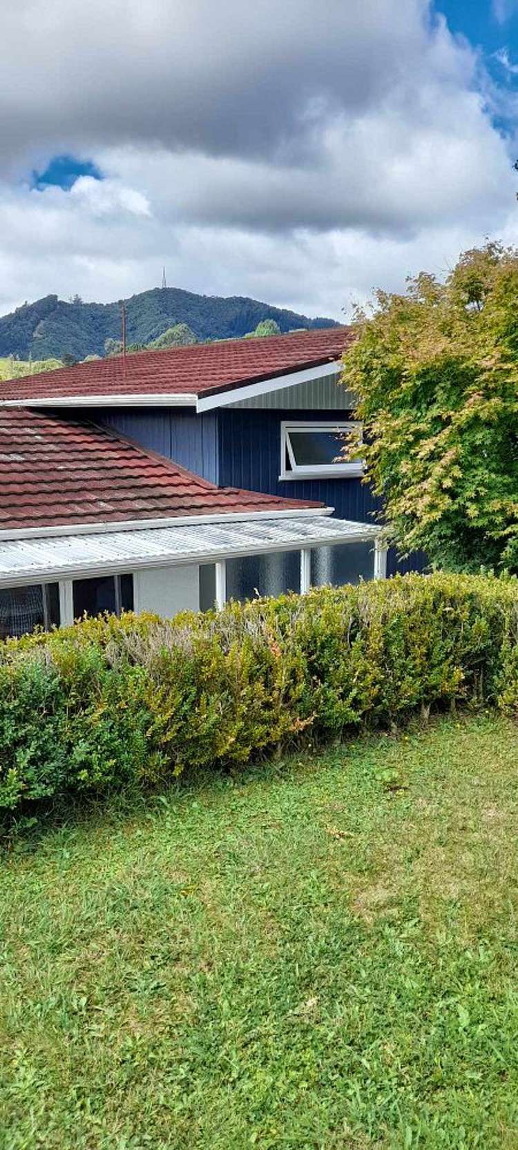 431 Waimea Road Enner Glynn_9