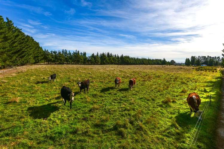 352 Knyvetts Road Southbridge_21