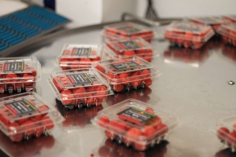 162 Pukeatua Road Maungatapere_21