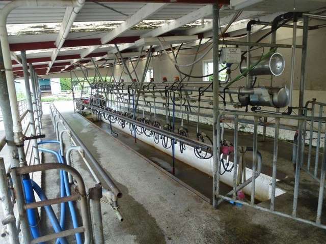 1265 Mountain Road Inglewood_2