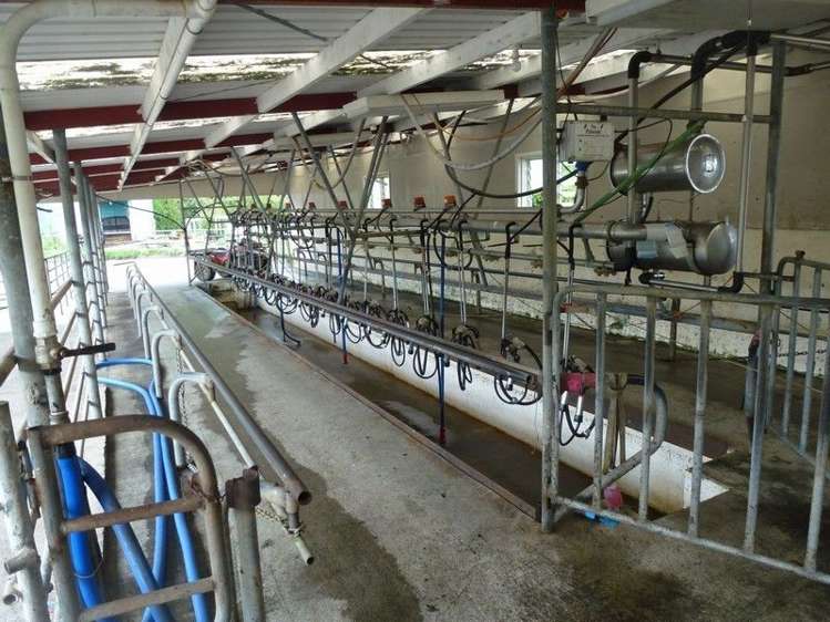 1265 Mountain Road Inglewood_2