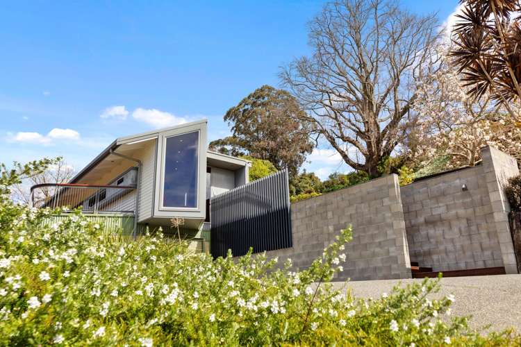 16 Furniss Lane Tauriko_6