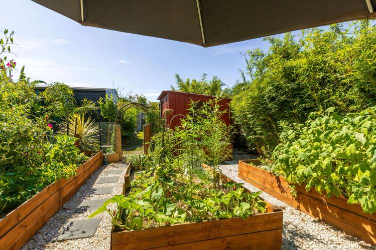 20 Kenny Street Waihi_18