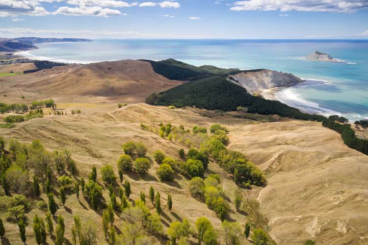 399 Te Apiti Road Waimarama_9