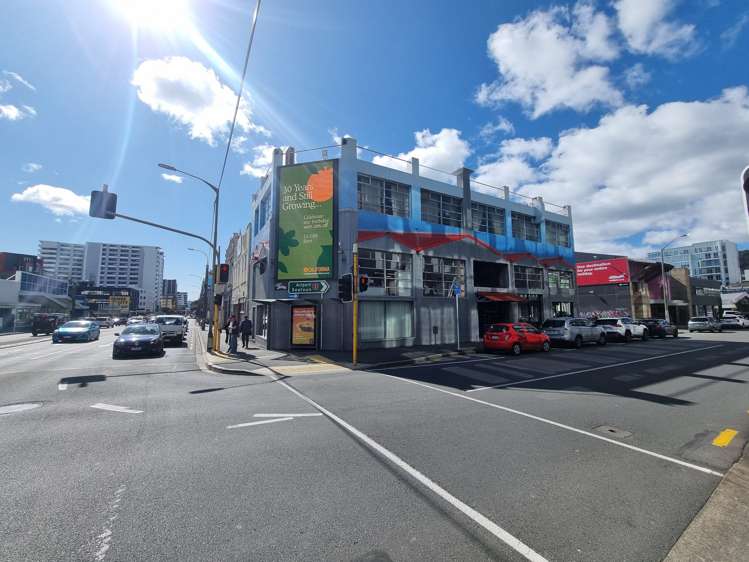 104 Vivian Street Te Aro_10