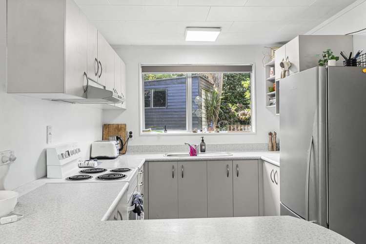 1138 South Road Oakura_11