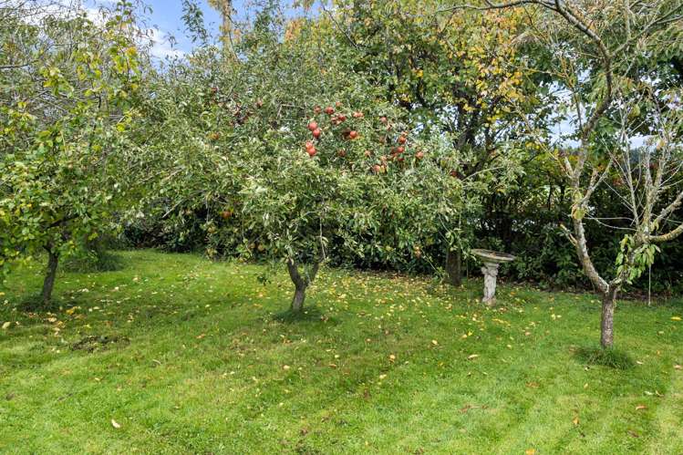 178 Geraldine - Arundel Road Rangitata_19
