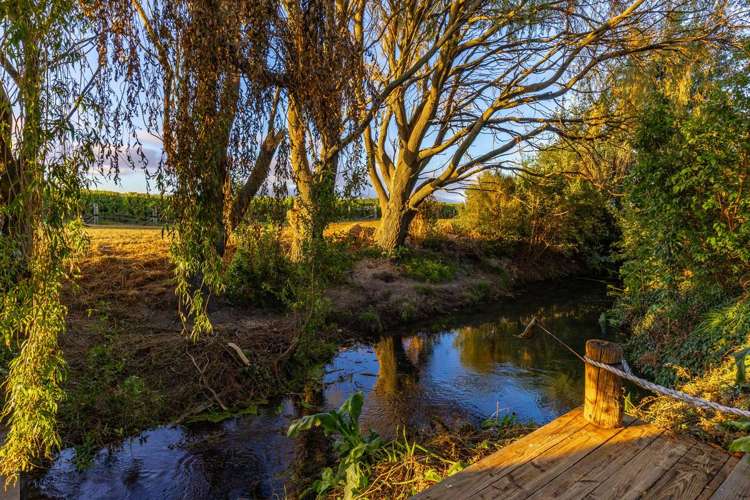 4A Vickerman Street_3