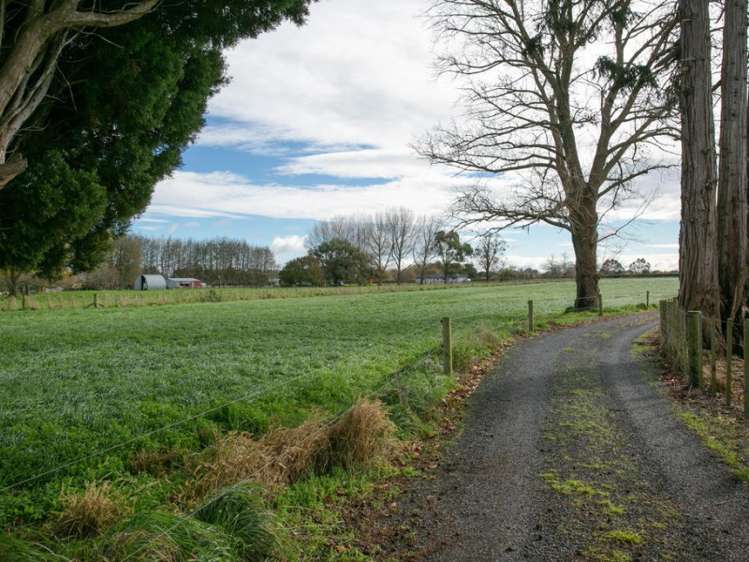 404 Kaipaki Road Ohaupo_18