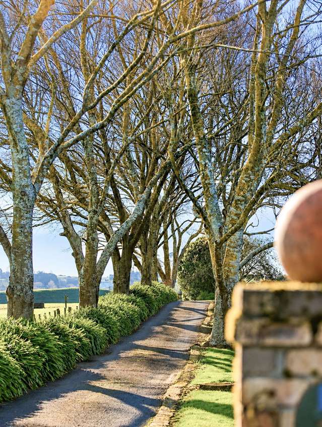 6 Glasson Road Te Awamutu_4