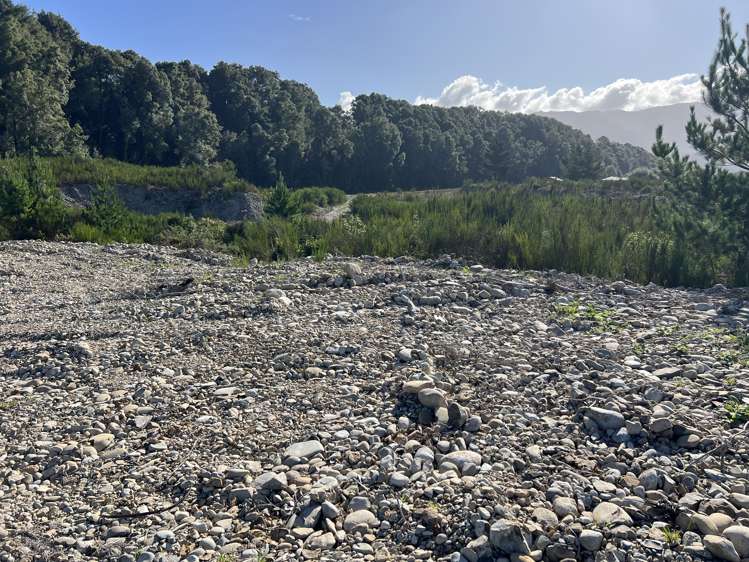 Lot . Red Jacks Road Ngahere_9