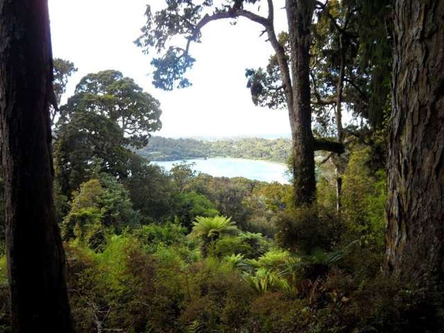 361 Back Road Stewart Island/Rakiura_3