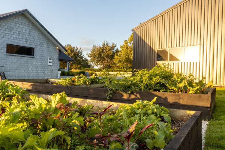 1211b Gordonton Road Gordonton_17