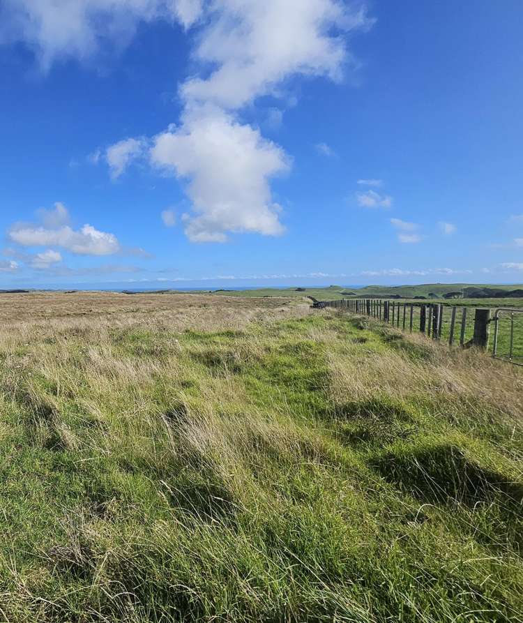 1 Basin Road Dargaville_8