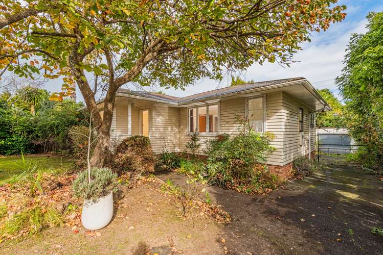 16 Maple Street Avondale_17