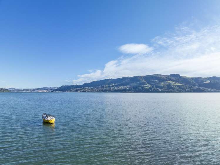 Lot 1-7/336 Portobello Road The Cove_26