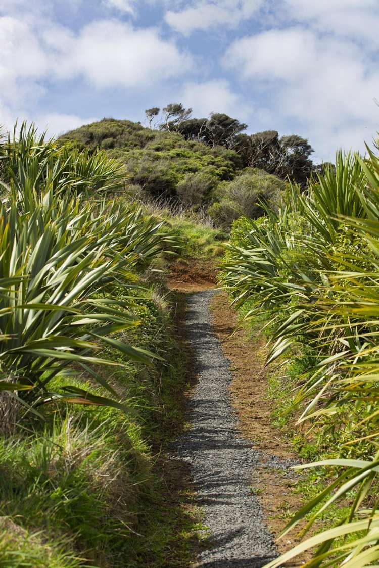 1615 Whaanga Road Raglan_6