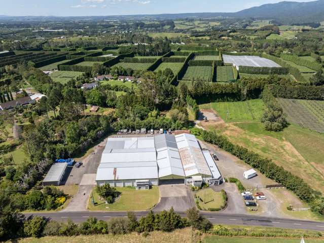 153 Rea Road Katikati_4