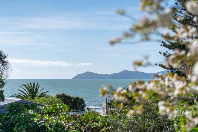 121 Wellington Road Paekakariki_34
