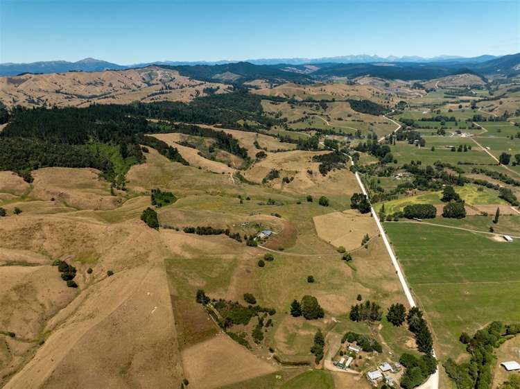 Tadmor-Bushend Road Tapawera_16