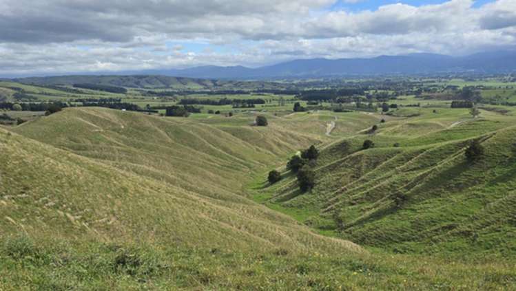 Millars Road Carterton_12