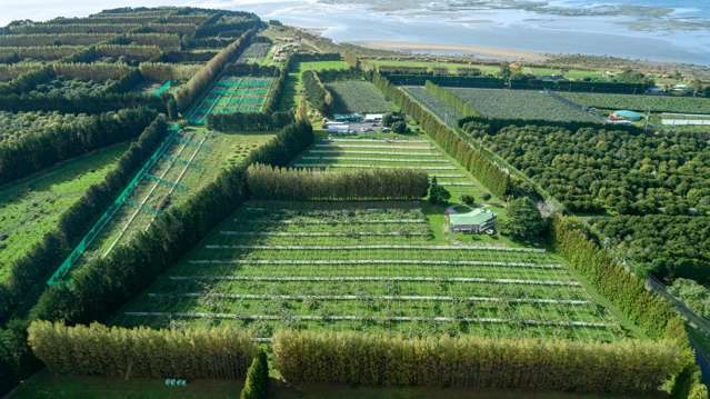 405-419 Matahui Road Aongatete_4