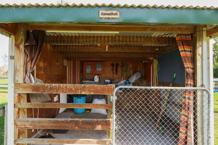 312 Clayton Road Fairlie_20