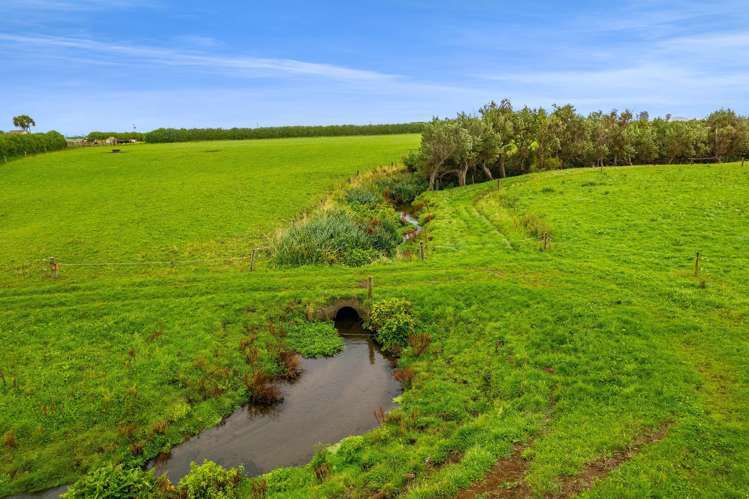 0n Normanby Road Lower Manaia_5