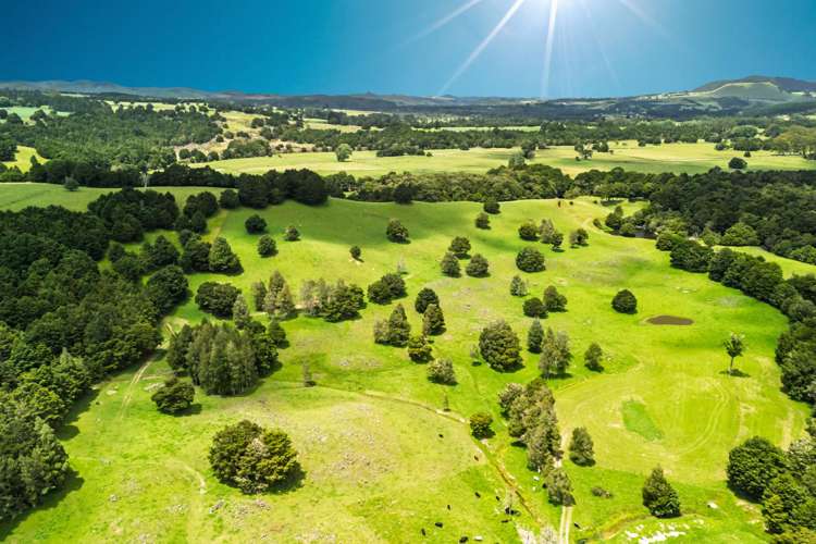 509B Mataraua Road Kaikohe_38