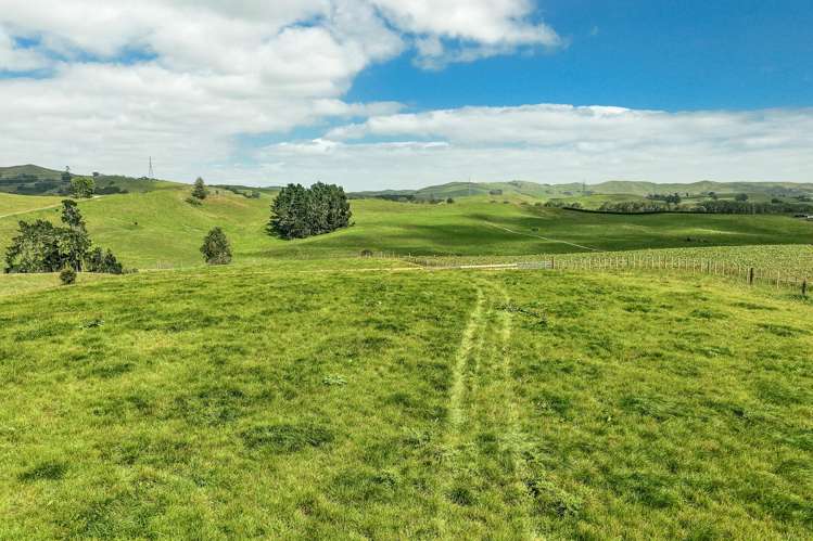 70B Manion Lane Morrinsville_10