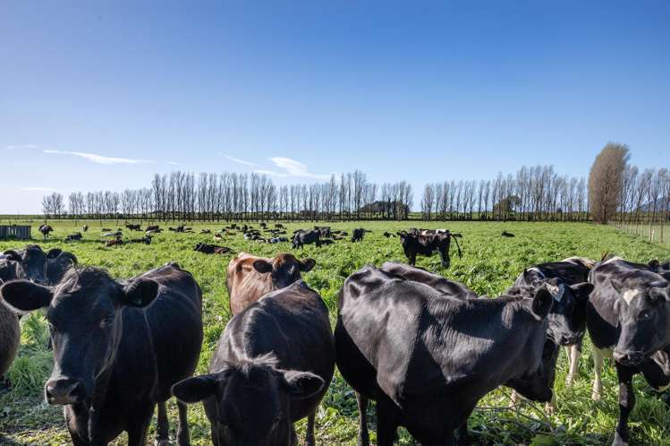 206B Thornton Road Thornton_5