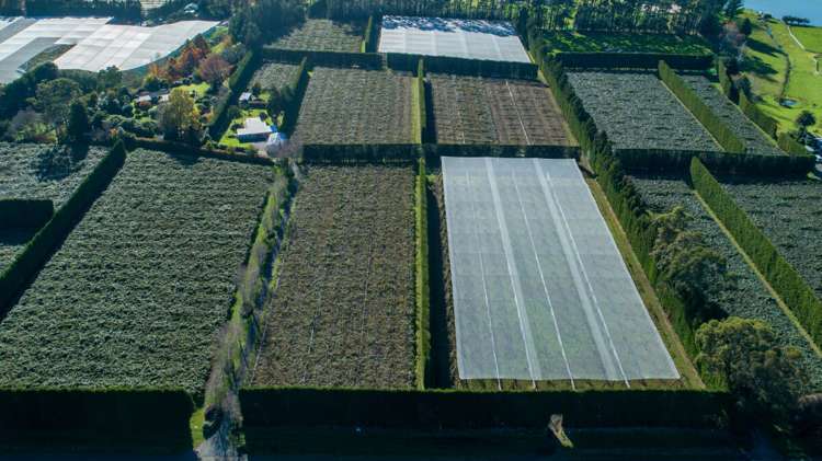 29a Strathmore Drive Aongatete_1