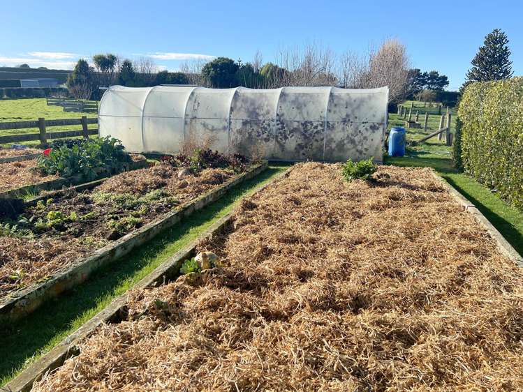 432a Lorne Dacre Road Roslyn Bush_29