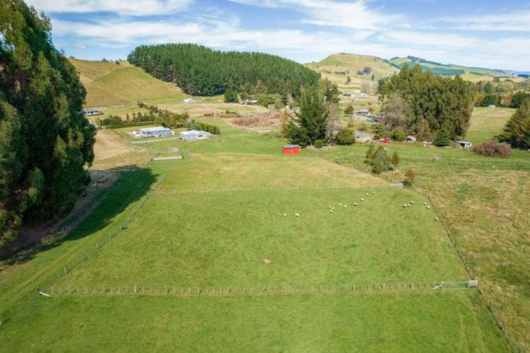 302 Whangamata Road Kinloch_5