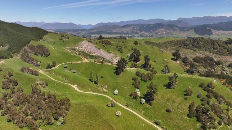 162 Upper Stanley Brook Stanley Brook_6