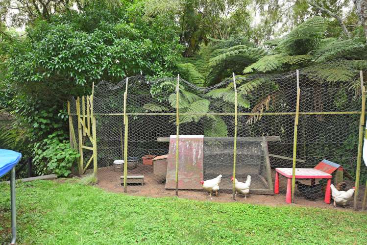 63 Wyndham Road Pinehaven_17