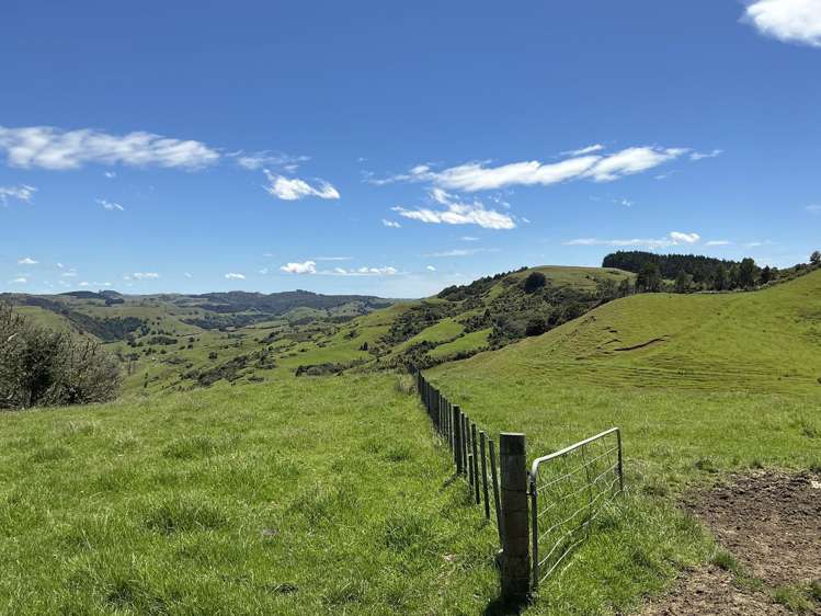 Lot 3 DP539905 Dill Road Kaipara Flats_5