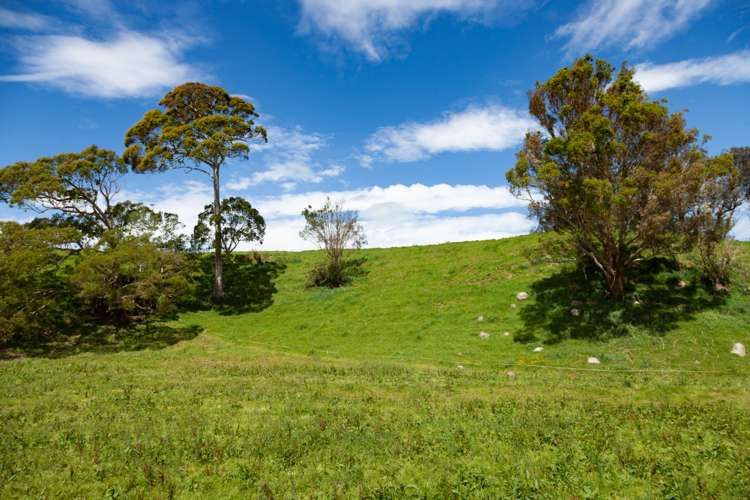 Waotu Road Putaruru_10