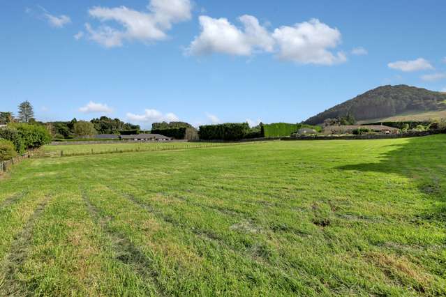 29a Millington Road Maunu_4