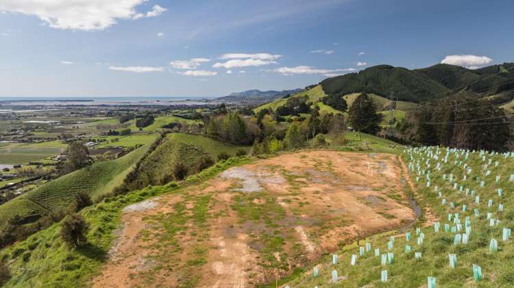 Lot 4 326 Aniseed Valley Road Aniseed Valley_1